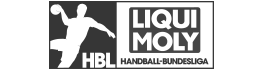 Logo der Liqui Moly Handball Bundesliga GmbH